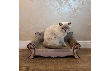 Škrabadlo pre mačky - pohovka Purlov 24285