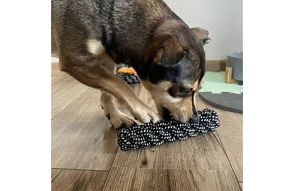 Veľká sada hračiek pre psov - 10ks