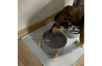 Silikónová podložka pod misky – XXL 60 x 40 cm