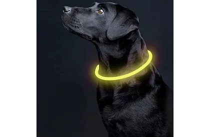 Svietiaci LED obojok s USB nabíjaním a nastaviteľnou dĺžkou