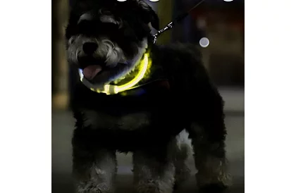 Svietiaci LED obojok s USB nabíjaním a nastaviteľnou dĺžkou