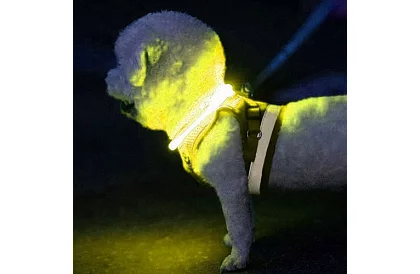 Svietiaci LED obojok s USB nabíjaním a nastaviteľnou dĺžkou