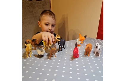 Hospodárske zvieratá – 12 figúrok