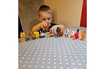 Hospodárske zvieratá – 12 figúrok