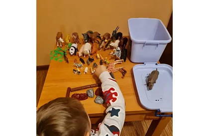 Plastové zvieratká – 48 zvieratiek v kufríku