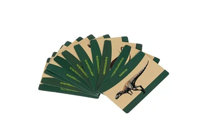 Dinozauří vajcia 12 kusov - malý archeológ