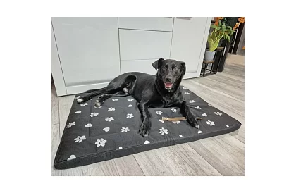 Vodotesný psí pelech - matrac 100x70 cm