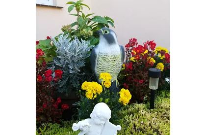 Plašič vtákov – realistický sokol