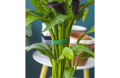 Záhradnícka viazacia páska na suchý zips – na uchytenie rastlín 500 cm