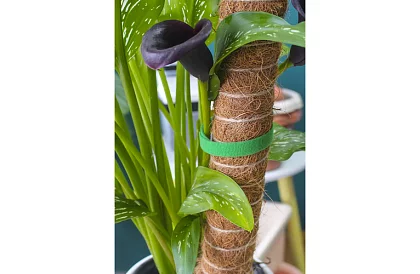 Záhradnícka viazacia páska na suchý zips – na uchytenie rastlín 500 cm