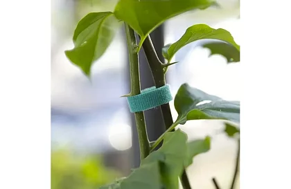 Záhradnícka viazacia páska na suchý zips – na uchytenie rastlín 500 cm