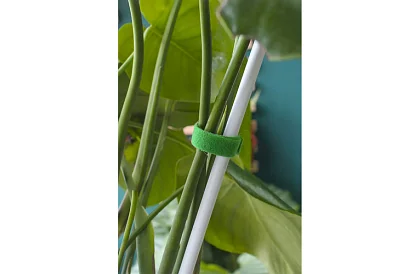 Záhradnícka viazacia páska na suchý zips – na uchytenie rastlín 500 cm