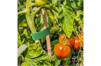 Záhradnícka viazacia páska na suchý zips – na uchytenie rastlín 500 cm