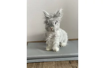 Chladiaca gélová podložka - 90 x 50 cm