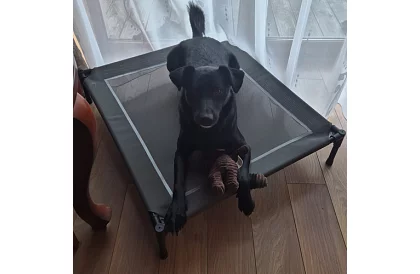 Vyvýšený krytý pelíšok pre psov