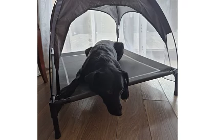 Vyvýšený krytý pelíšok pre psov