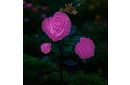 Solárna záhradná LED lampa – ruža