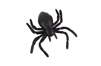 Plastoví pavúky – Halloweenska dekorácia, 10 kusov