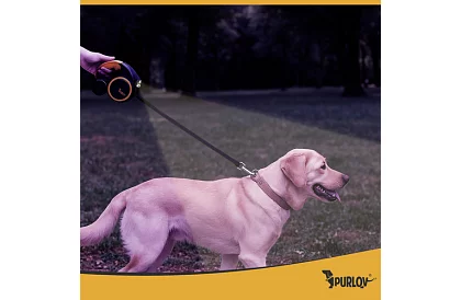 Flexi vodítko pre psov s LED svietidlom - 5 m - 10 - 25 kg