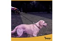 Flexi vodítko pre psov s LED svietidlom - 5 m - 10 - 25 kg