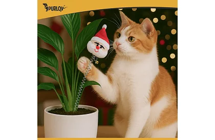 Sada hračiek pre mačky – 6 ks