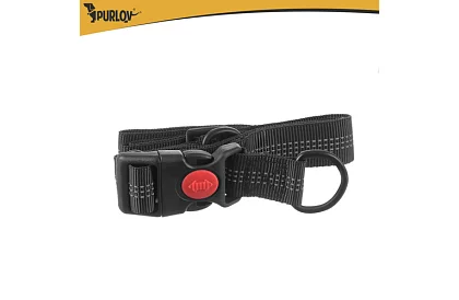 Bežecká ľadvinka s vodítkom na psa + príslušenstvo