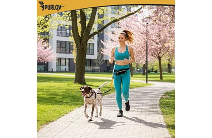 Bežecká ľadvinka s vodítkom na psa + príslušenstvo