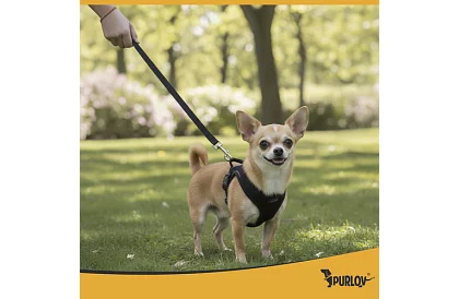 Beztlakový postroj pre psov a mačky s vodítkom – Veľkosť XS