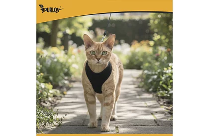 Beztlakový postroj pre psov a mačky s vodítkom – Veľkosť XS