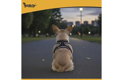 Beztlakový postroj pre psov a mačky s vodítkom – Veľkosť XS