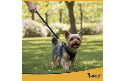 Beztlakový postroj pre psov a mačky s vodítkom – Veľkosť S