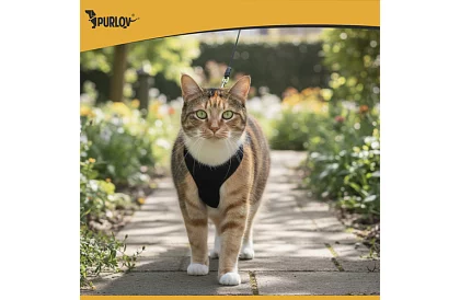 Beztlakový postroj pre psov a mačky s vodítkom – Veľkosť S