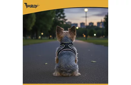 Beztlakový postroj pre psov a mačky s vodítkom – Veľkosť S