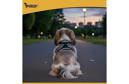 Beztlakový postroj pre psov a mačky s vodítkom – Veľkosť M