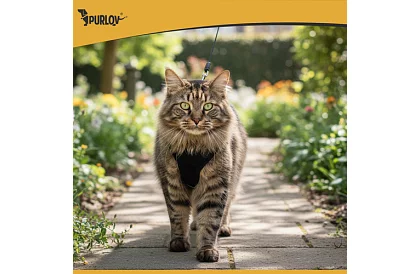 Beztlakový postroj pre psov a mačky s vodítkom – Veľkosť M