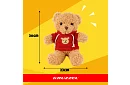 Medvedík s mikinou 30 cm – plyšová hračka pre deti 0+