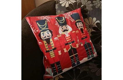 Dekoratívny poťah na vankúš 45 × 45 cm – motív Lúskajúceho