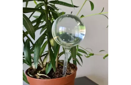 Zavlažovacie gule pre rastliny – 8 kusov