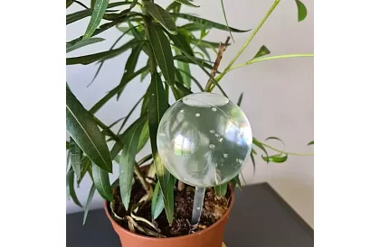 Zavlažovacie gule pre rastliny – 8 kusov