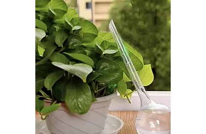 Zavlažovacie gule pre rastliny – 8 kusov