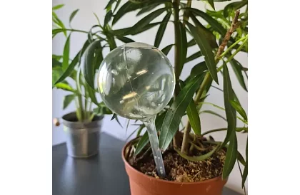 Zavlažovacie gule pre rastliny – 8 kusov