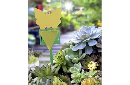 Lapače na hmyz Repest – 12 kusov