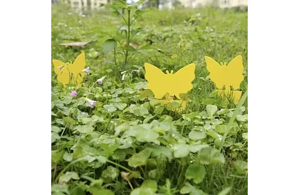 Lapače na hmyz Repest – 12 kusov