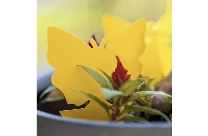 Lapače na hmyz Repest – 12 kusov