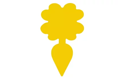 Lapače na hmyz Repest – 12 kusov