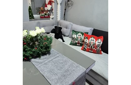 Dekoratívny poťah na vankúš 40x40 cm – zelený Lúskacíček