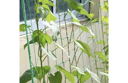 Sieťová podpora pre rastliny 2x10 m