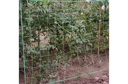 Sieťová podpora pre rastliny 2x10 m