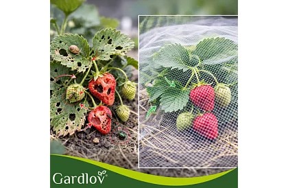 Záhradná ochranná sieť 3 × 6 m