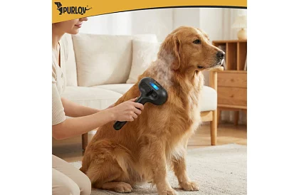 Elektrický parný vyčesávací kartáč – dobíjací